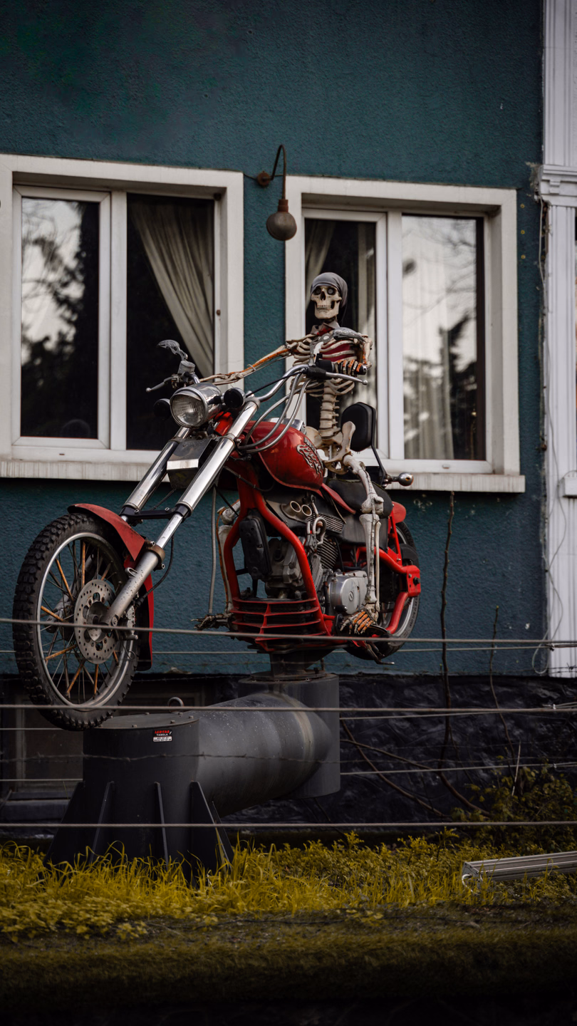 A skeleton astride a red chopper motorcycle parked in a front yard in front of a teal house