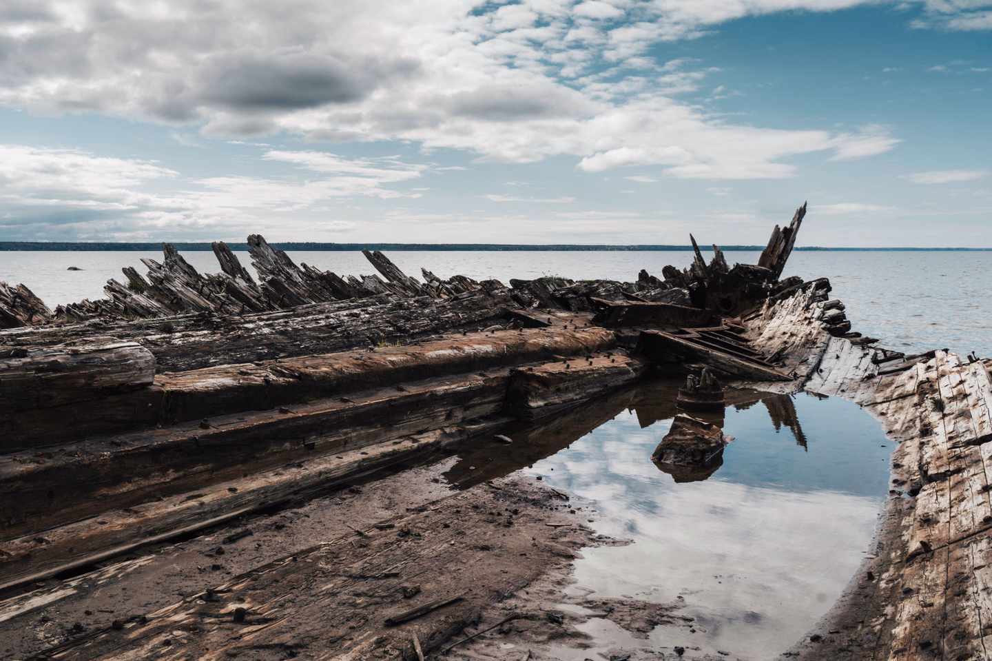 The broken wooden ribs of an old shipwreck lying on a wet sandy shore under a cloudy sky, reflected in a tide pool