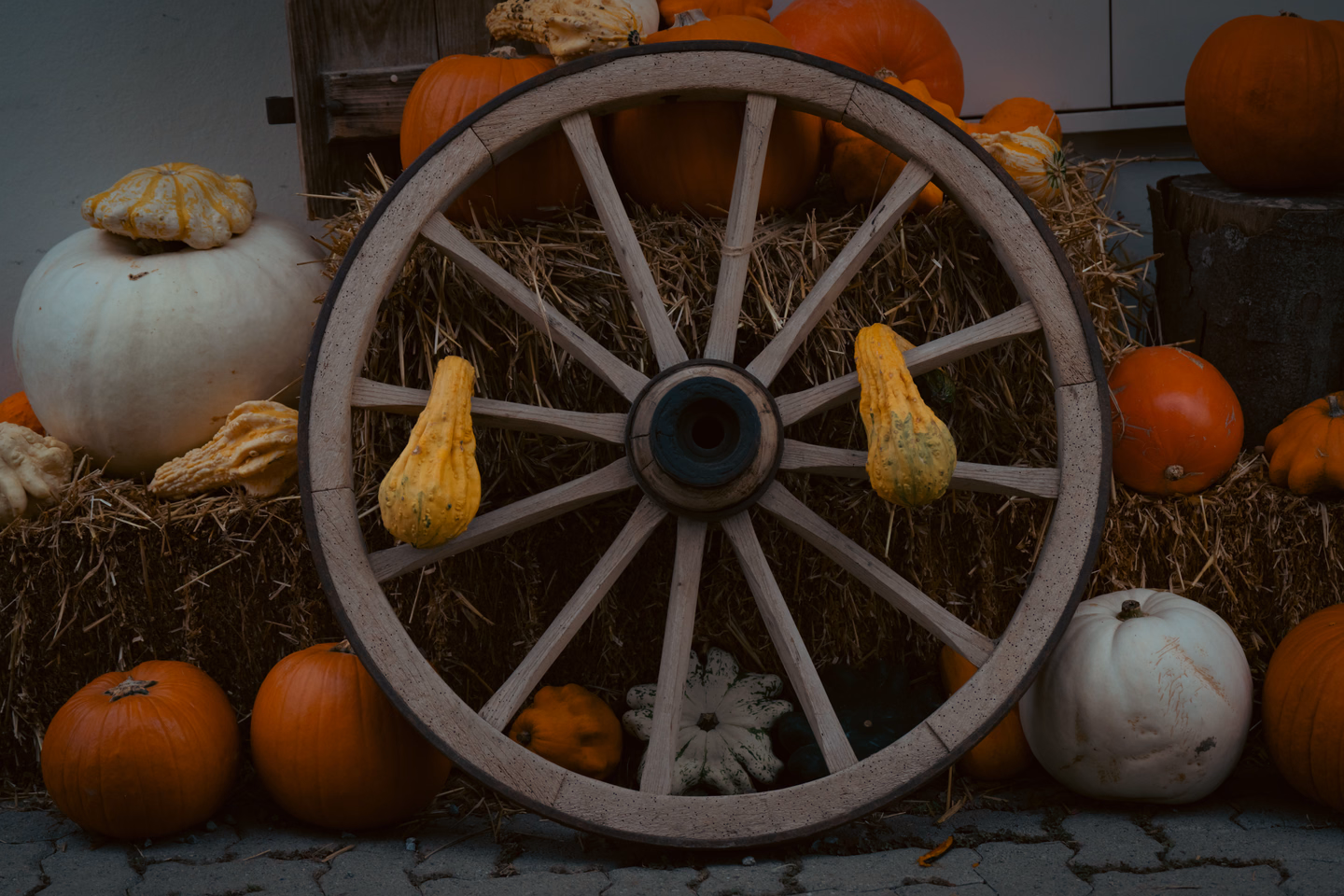 Pumpkins and a wooden wagon wheel arranged on stacked hay bales